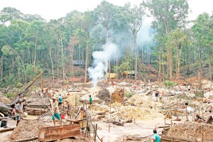 Deforestacion-extraccion-de-oro