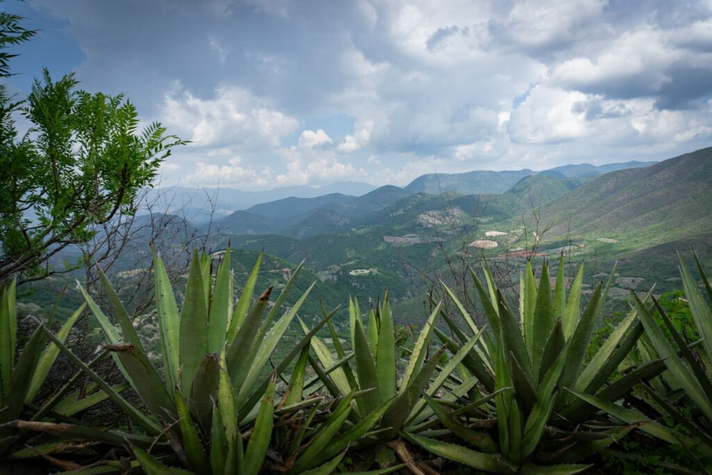 Características del paisaje rural foto México