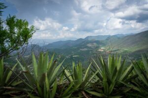 Características del paisaje rural foto México